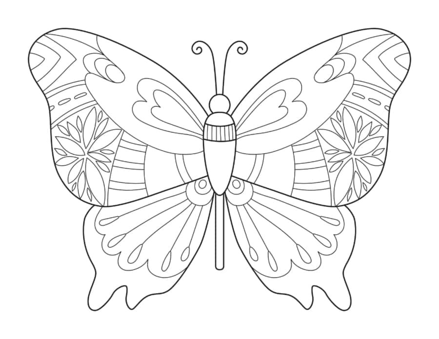 Butterfly Patterned Wings Spread Kids Coloring Pages Pdf Free Vectors
